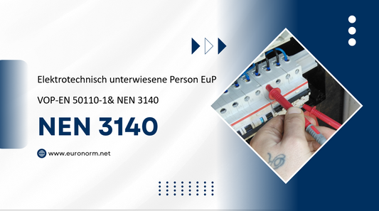 Kurs Elektrotechnisch unterwiesene Person EuP-VOP-NEN_3140